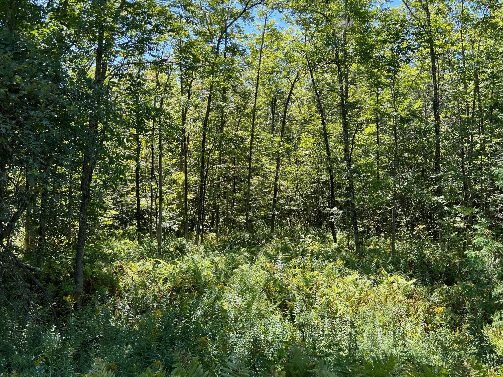 Map 1 Lot 16 Dexter Road Garland ME 04939
