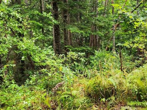 114 Miller Corner Road Palmyra ME 04965