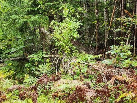 114 Miller Corner Road Palmyra ME 04965