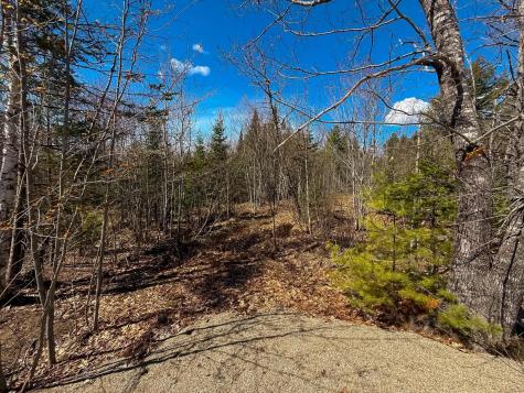 Lot #9 Russell Hill Road Bucksport ME 04416