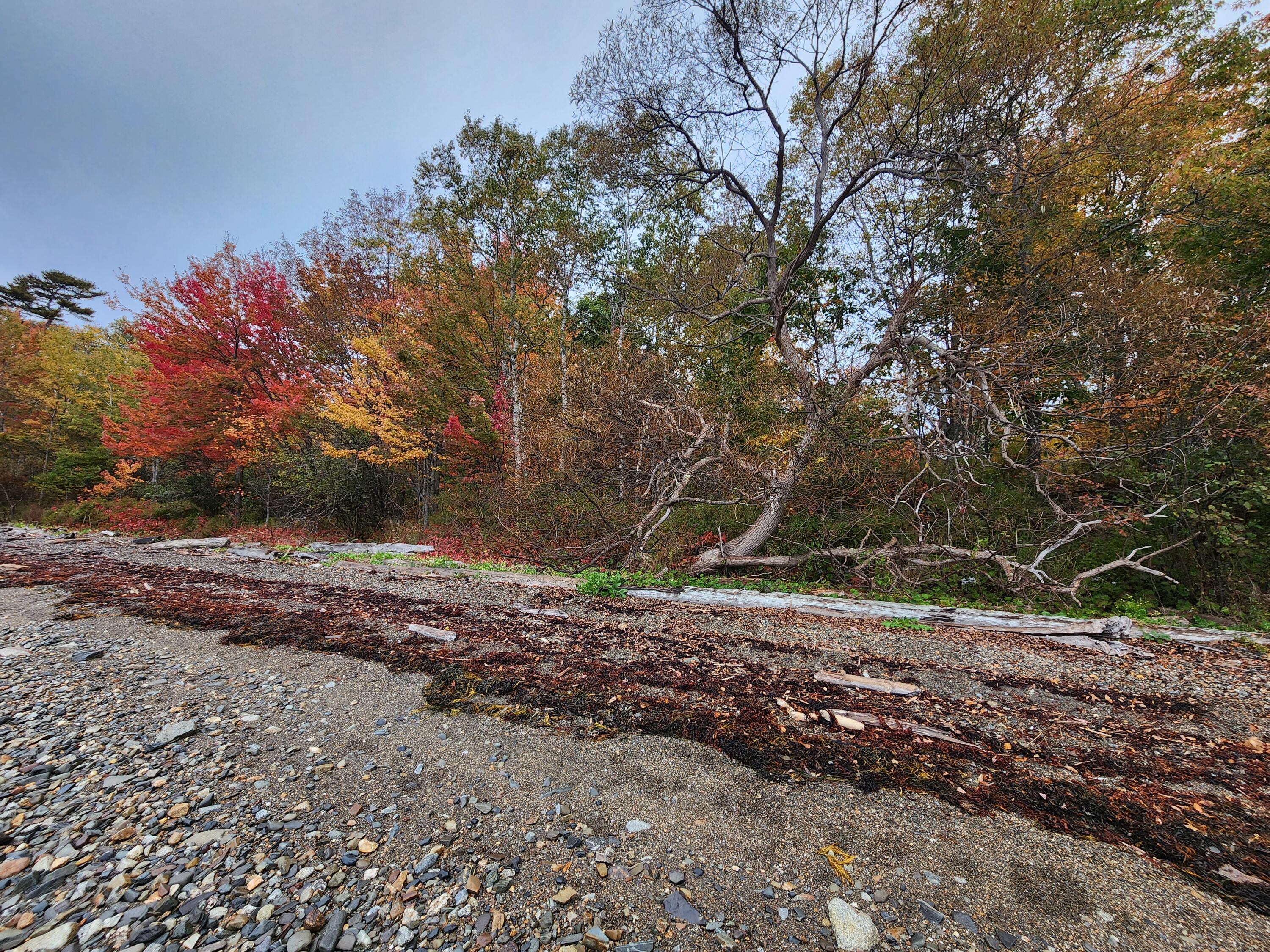 268 W Main Street Searsport ME 04974