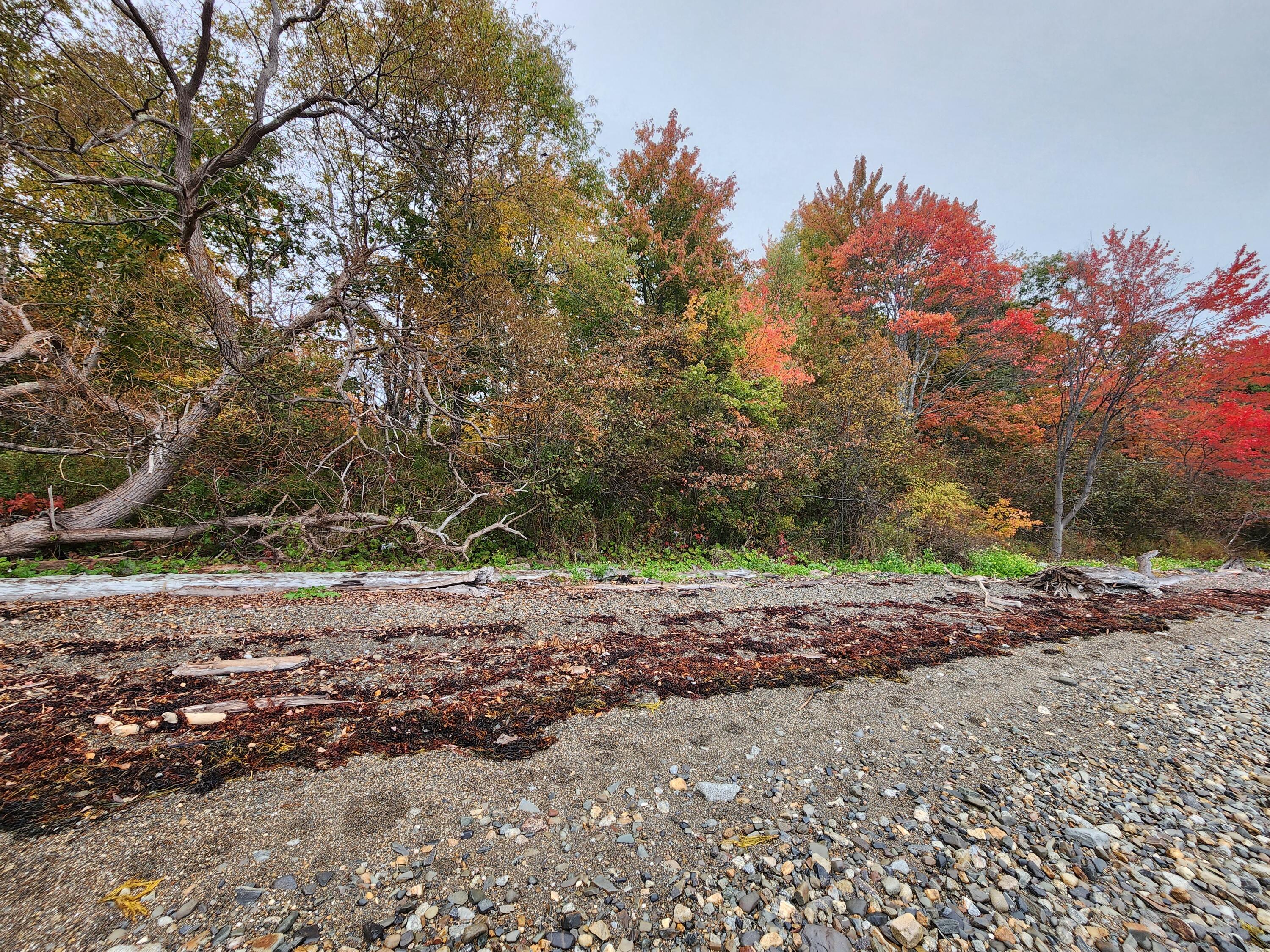 268 W Main Street Searsport ME 04974