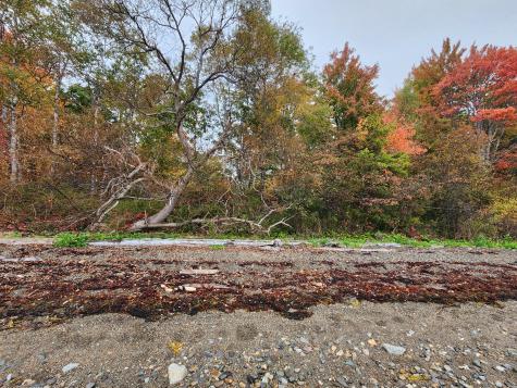 268 W Main Street Searsport ME 04974