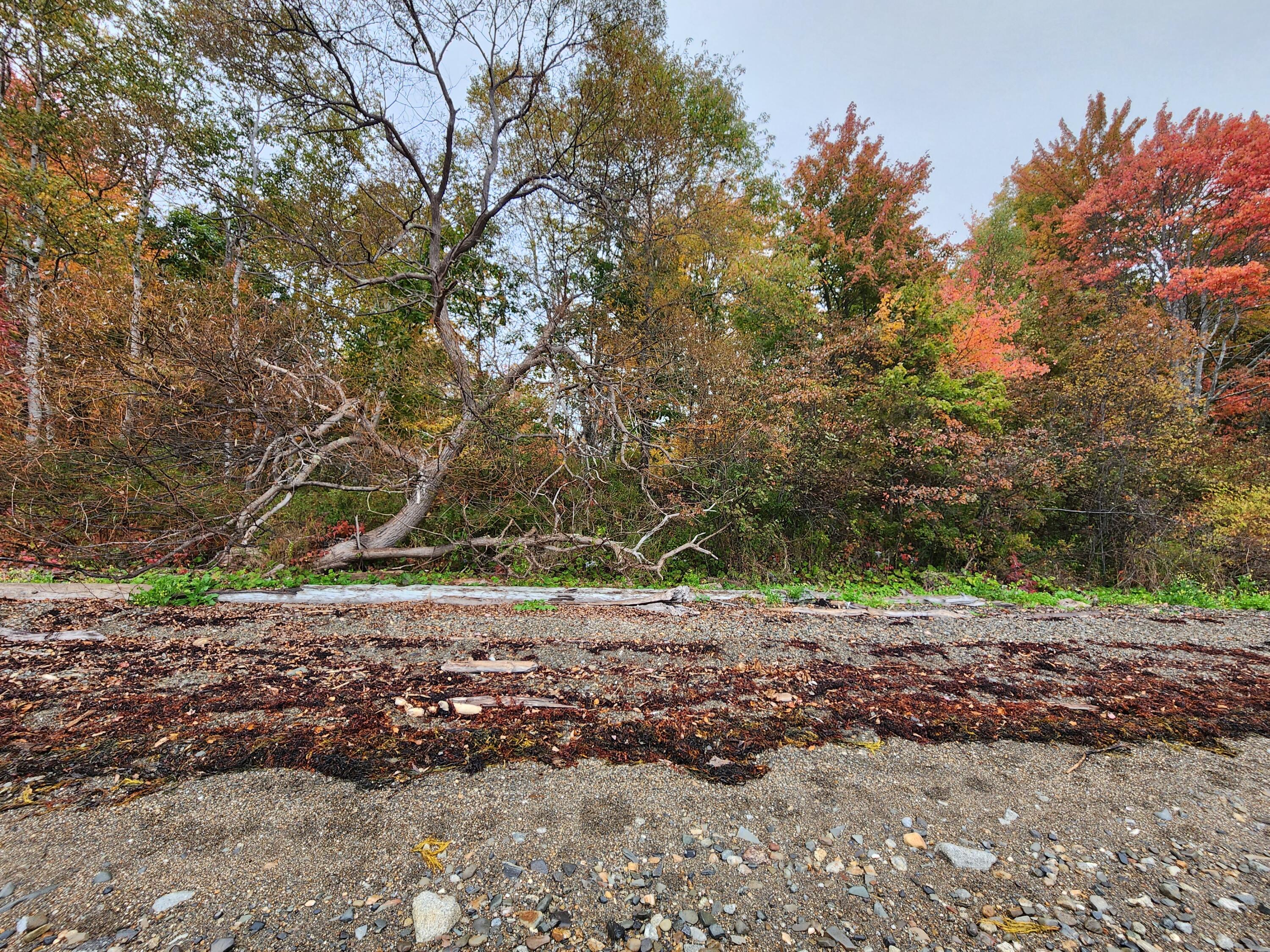 268 W Main Street Searsport ME 04974