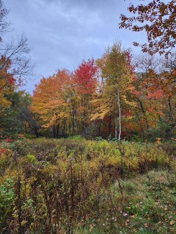 268 W Main Street Searsport ME 04974