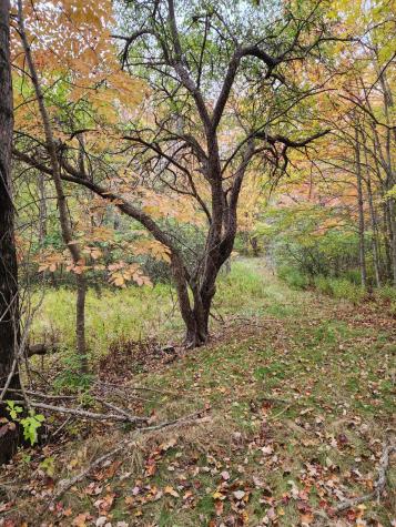 268 W Main Street Searsport ME 04974