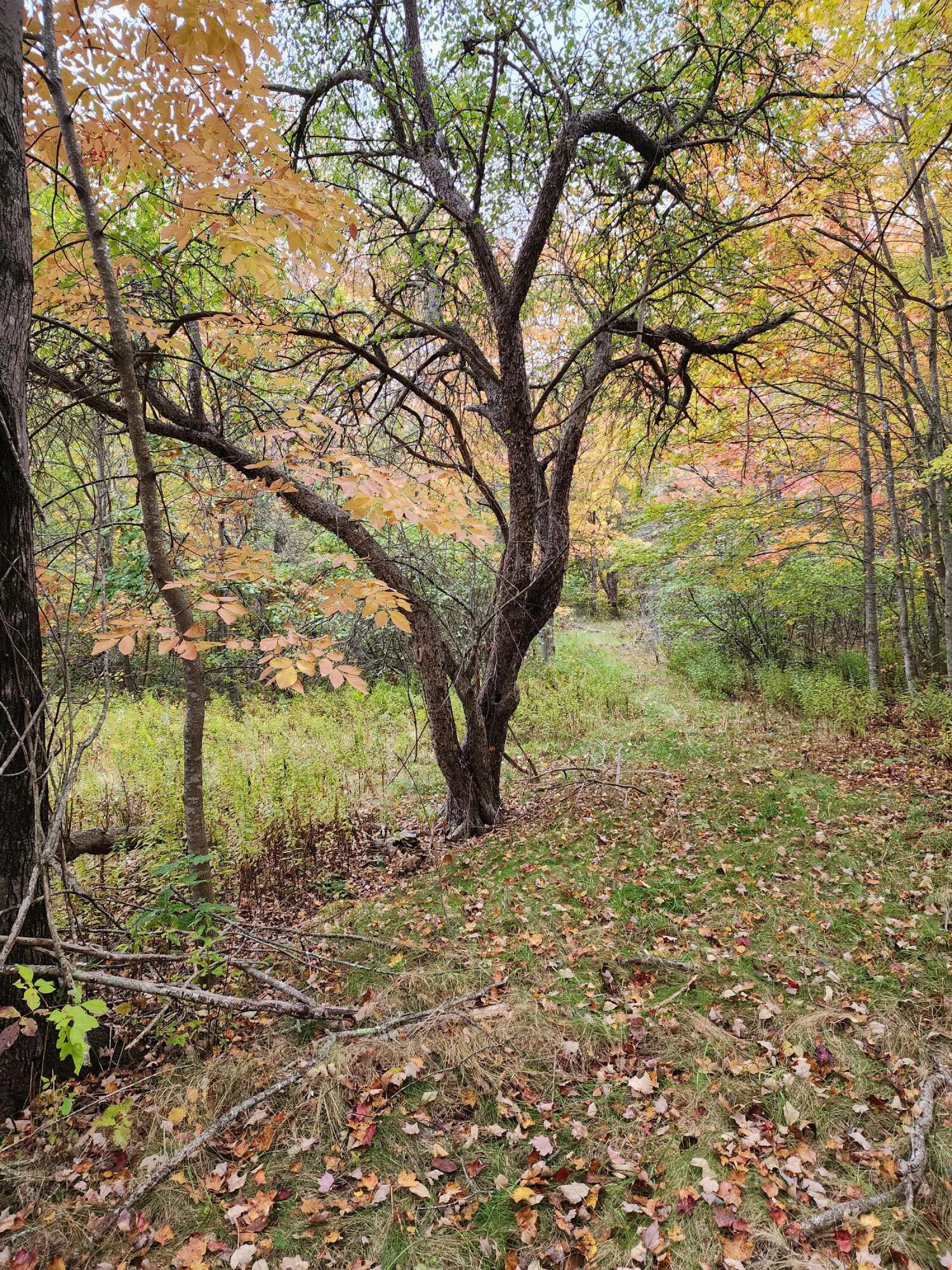 268 W Main Street Searsport ME 04974