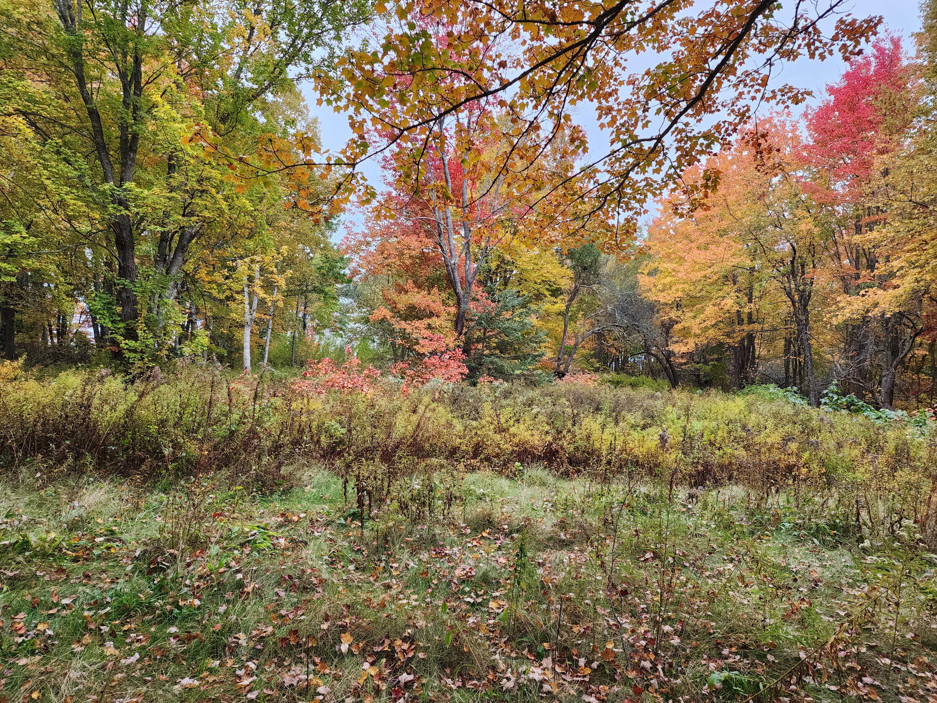 268 W Main Street Searsport ME 04974