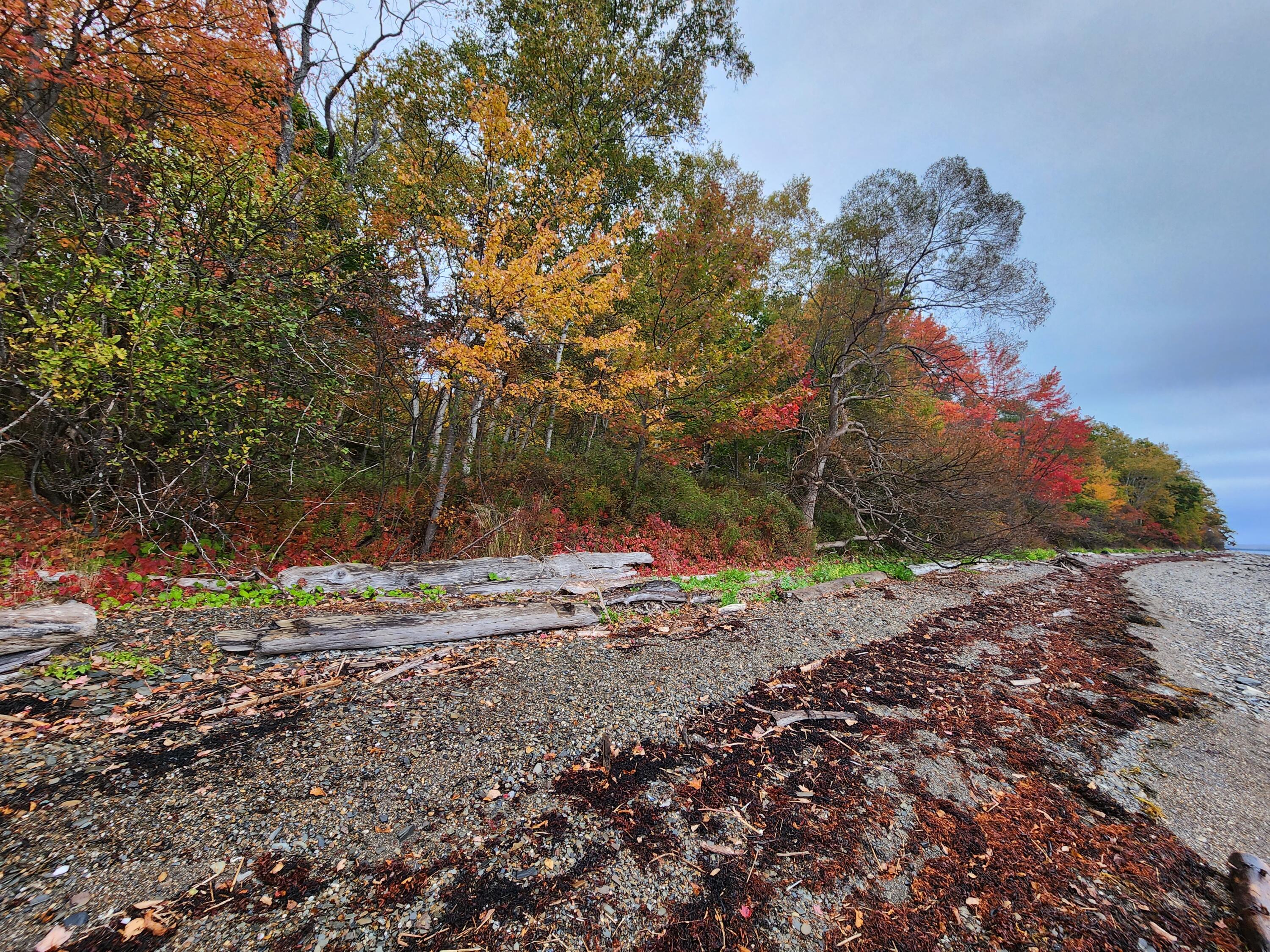 268 W Main Street Searsport ME 04974