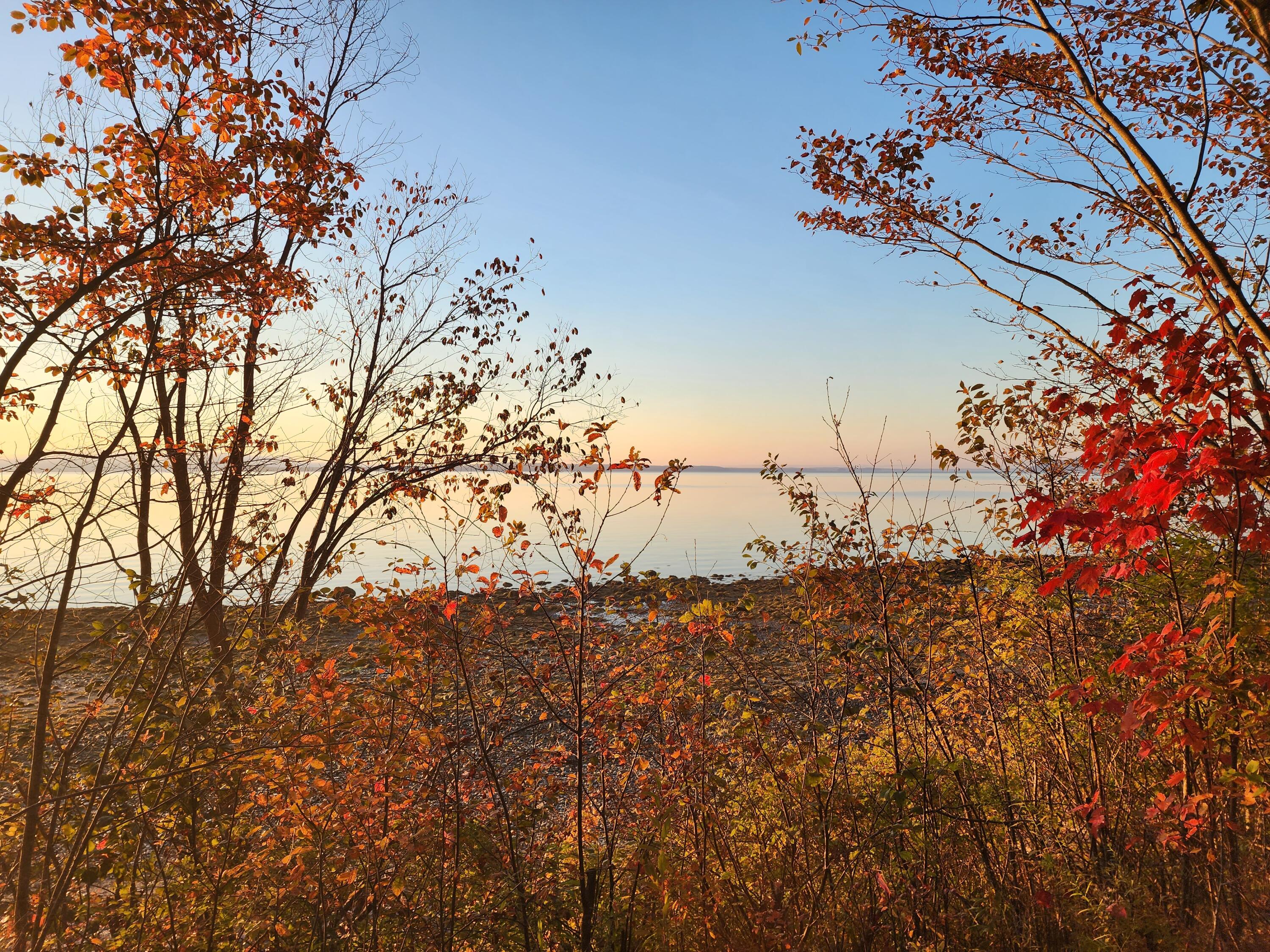 268 W Main Street Searsport ME 04974