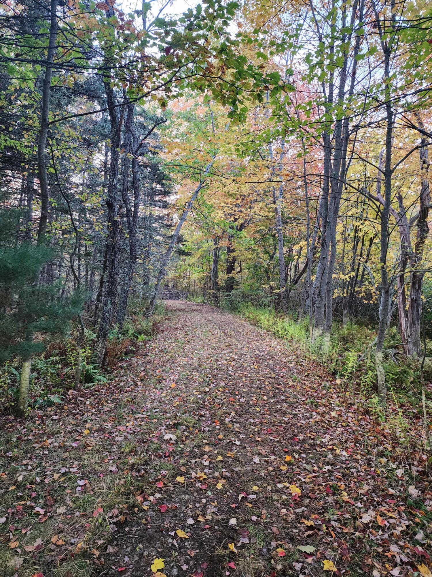 268 W Main Street Searsport ME 04974