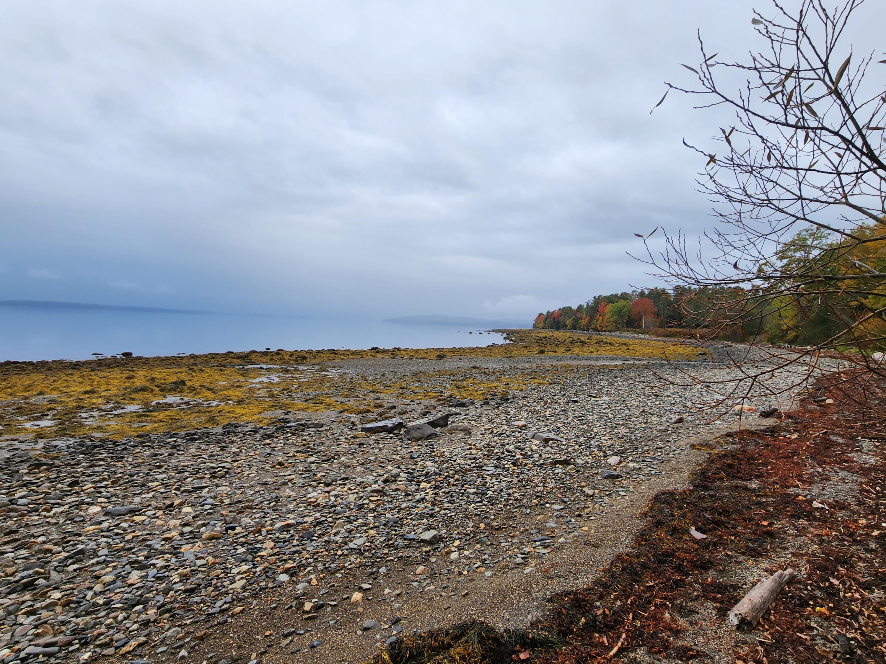 268 W Main Street Searsport ME 04974