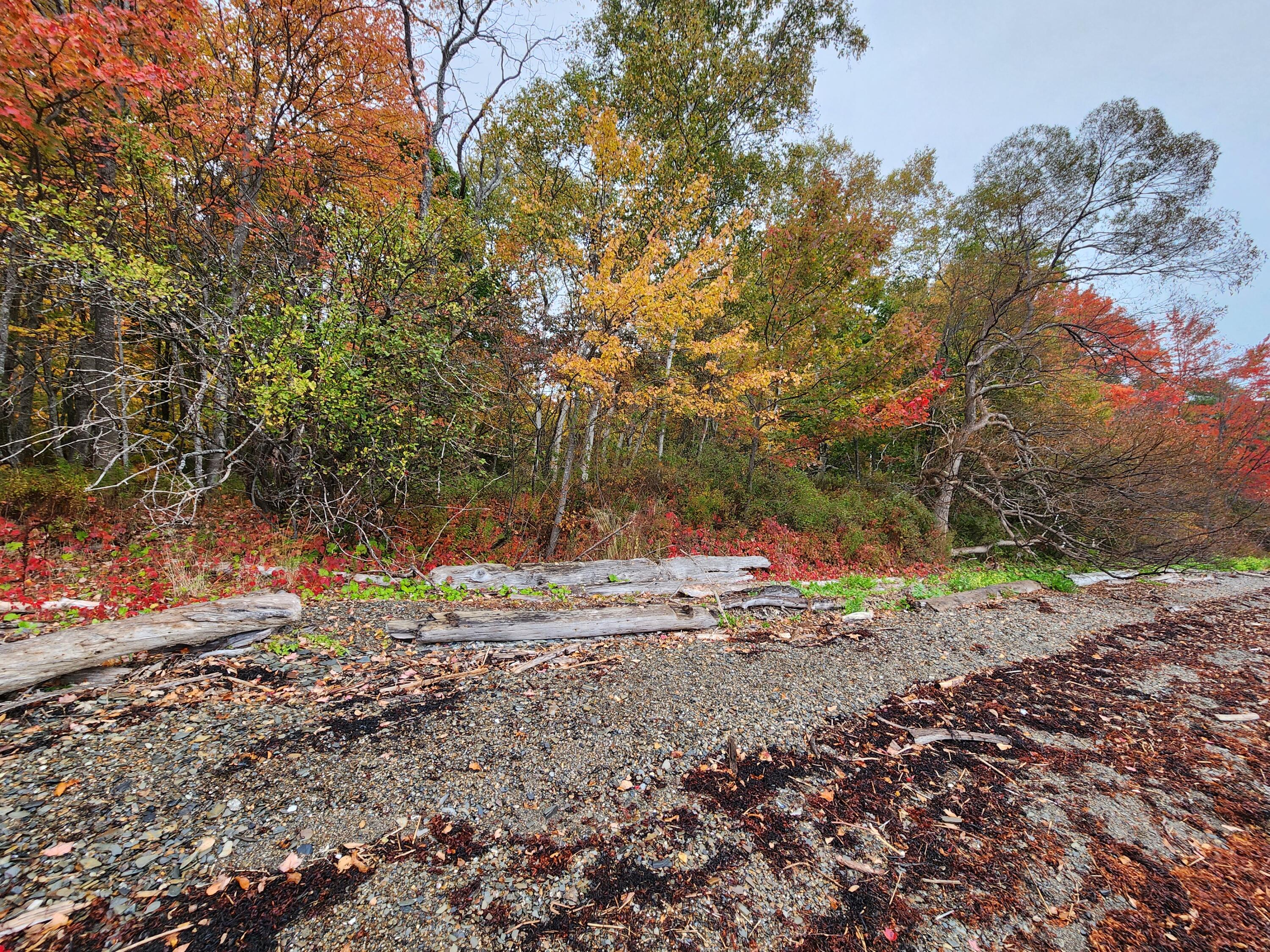 268 W Main Street Searsport ME 04974