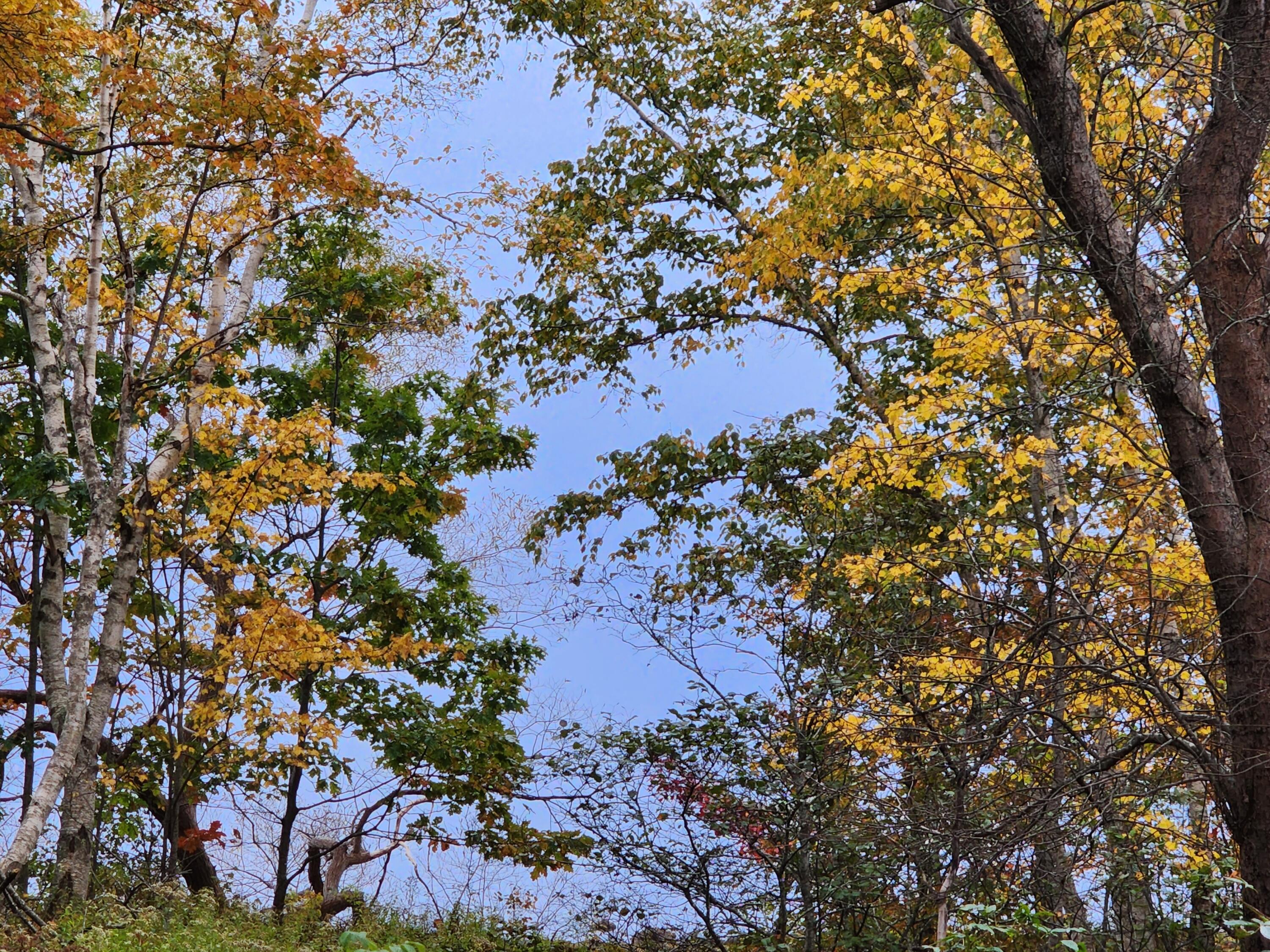 268 W Main Street Searsport ME 04974