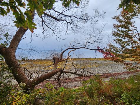 268 W Main Street Searsport ME 04974