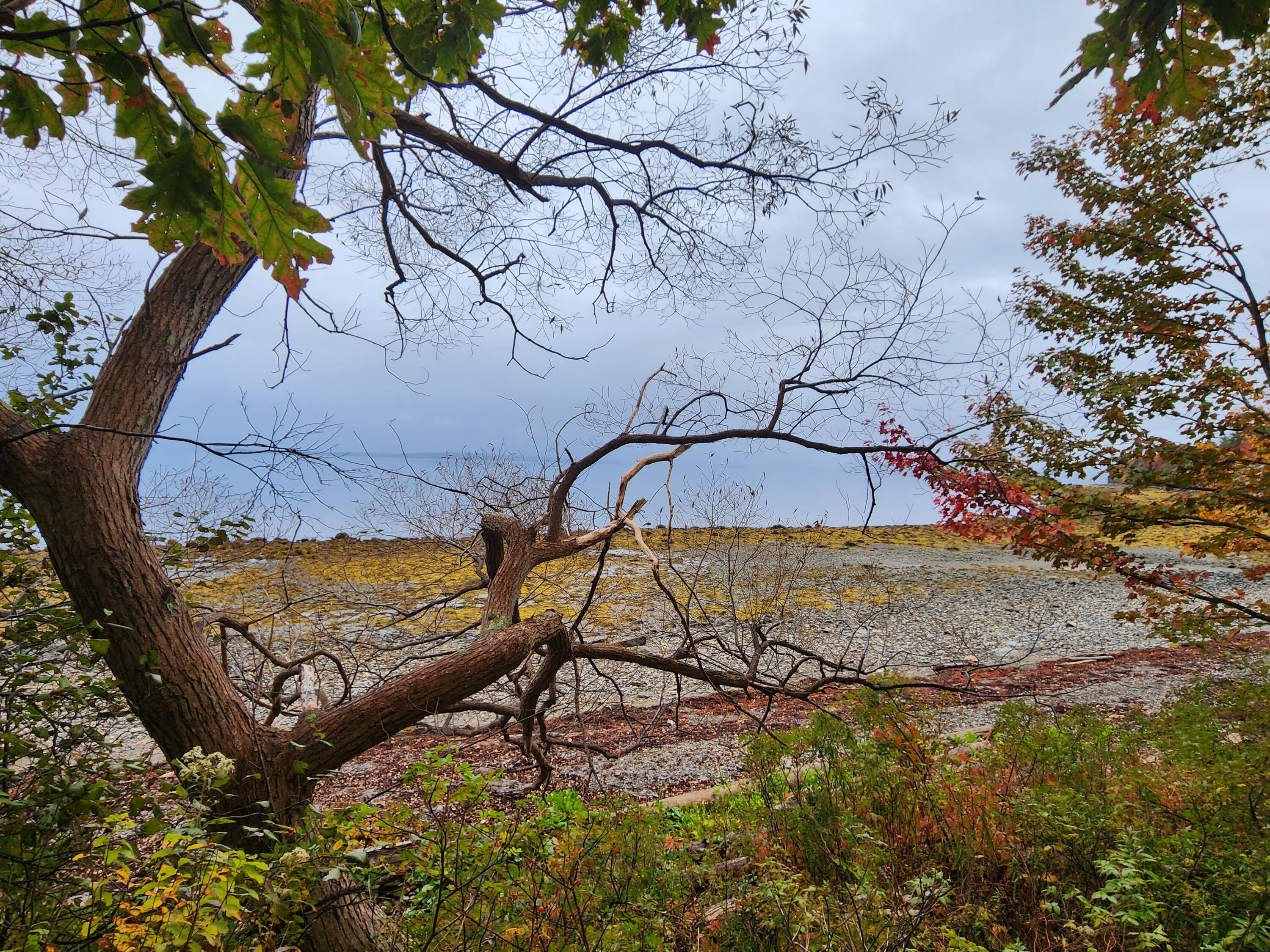 268 W Main Street Searsport ME 04974