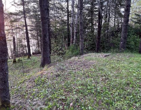 L 3,4,5,11 Sunrise Shores Drive Perry ME 04667