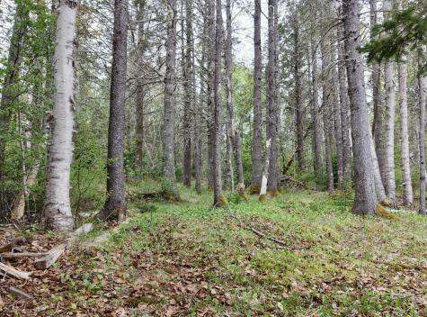 L 3,4,5,11 Sunrise Shores Drive Perry ME 04667