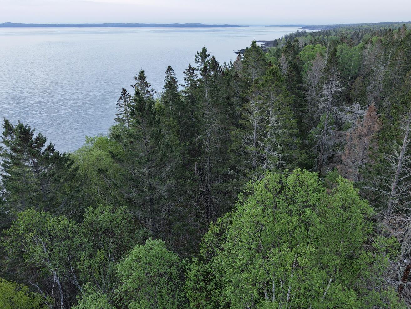 L 3,4,5,11 Sunrise Shores Drive Perry ME 04667