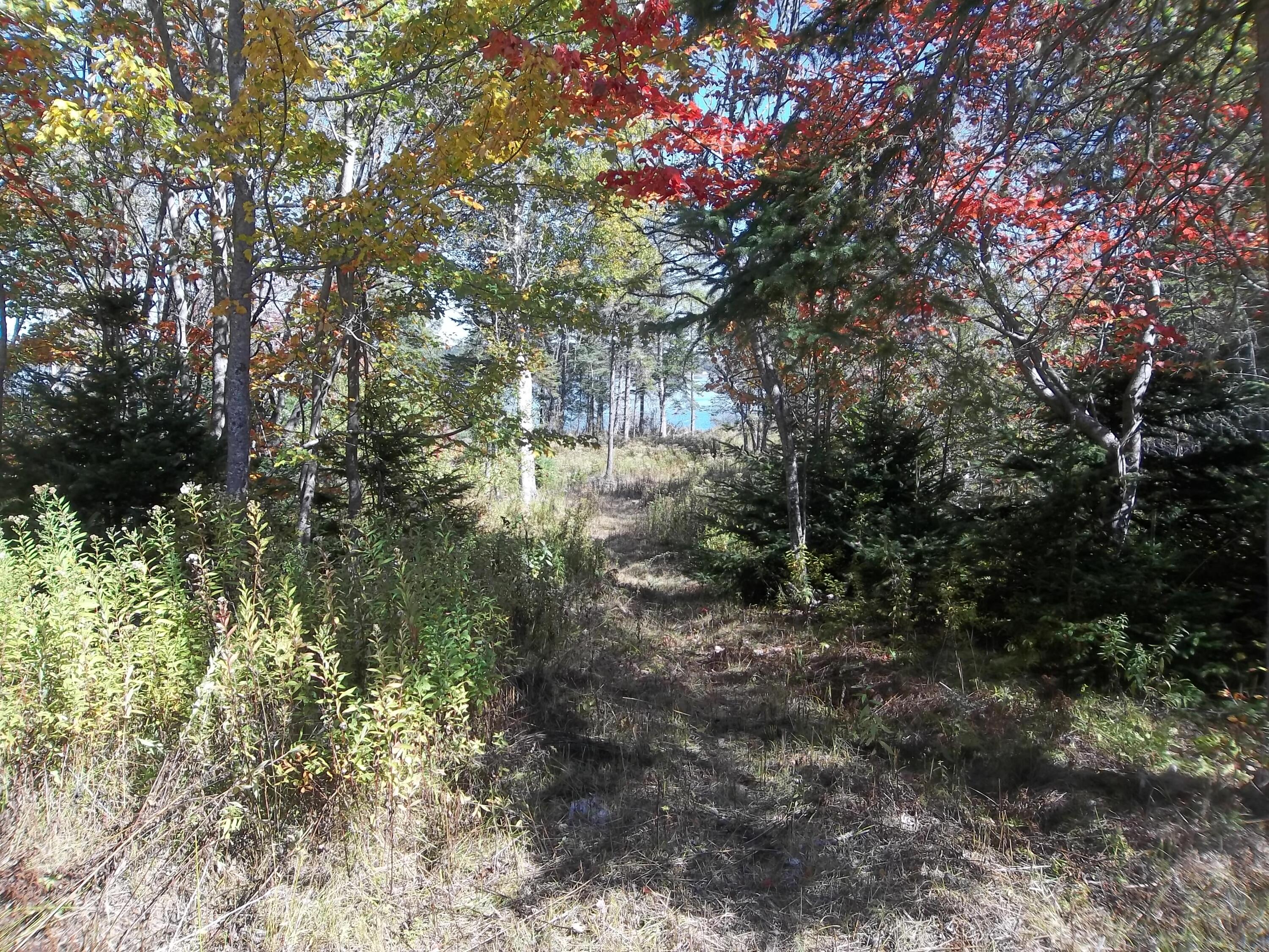 17 Indian Road Eastport ME 04631