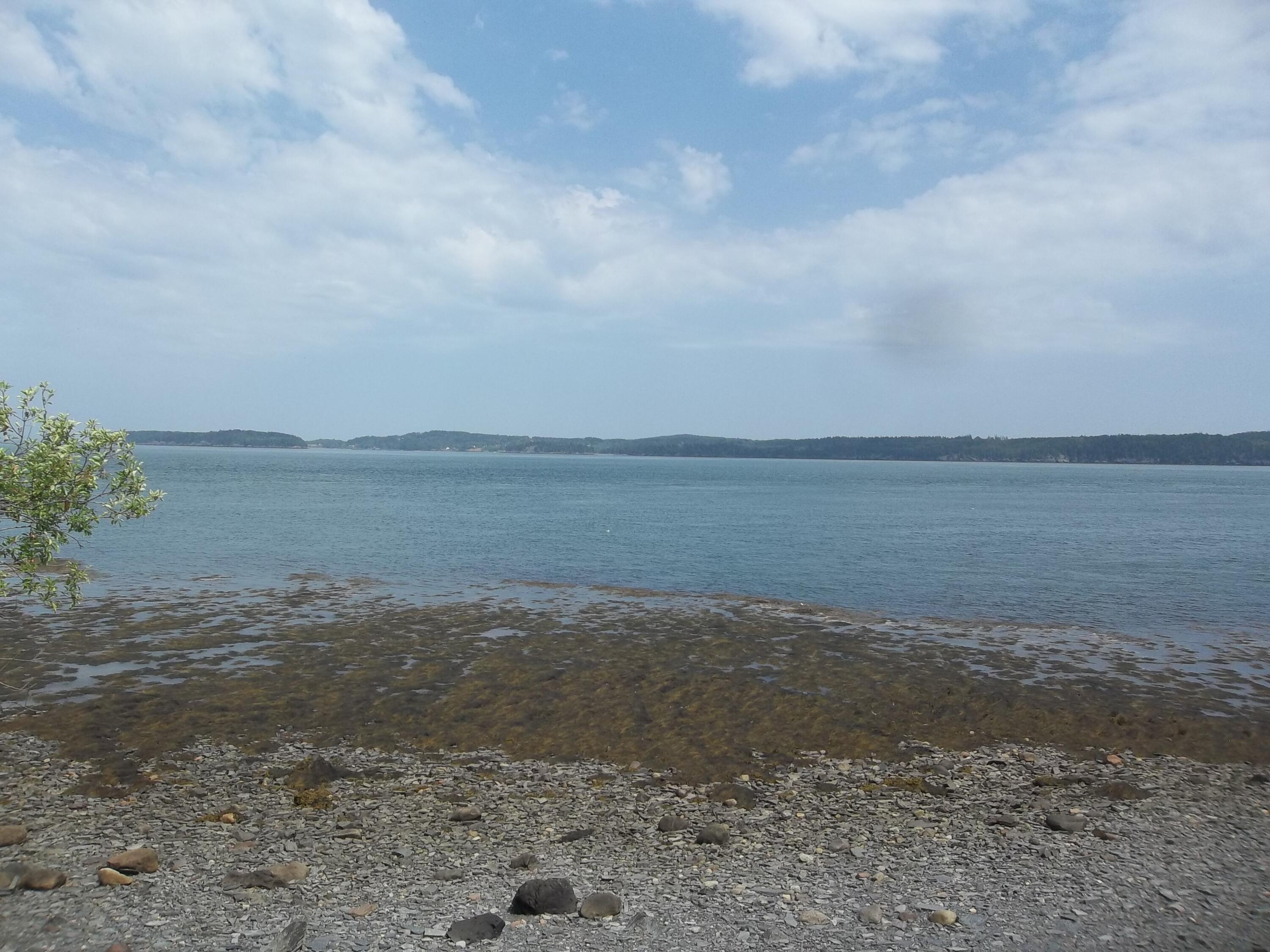 17 Indian Road Eastport ME 04631