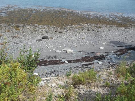 17 Indian Road Eastport ME 04631