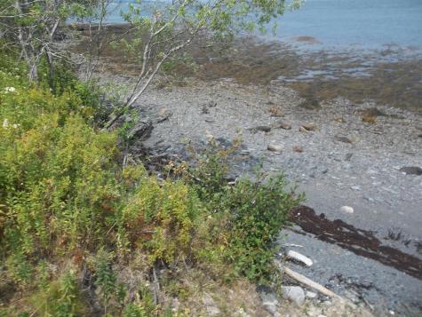 17 Indian Road Eastport ME 04631