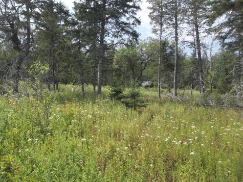 17 Indian Road Eastport ME 04631