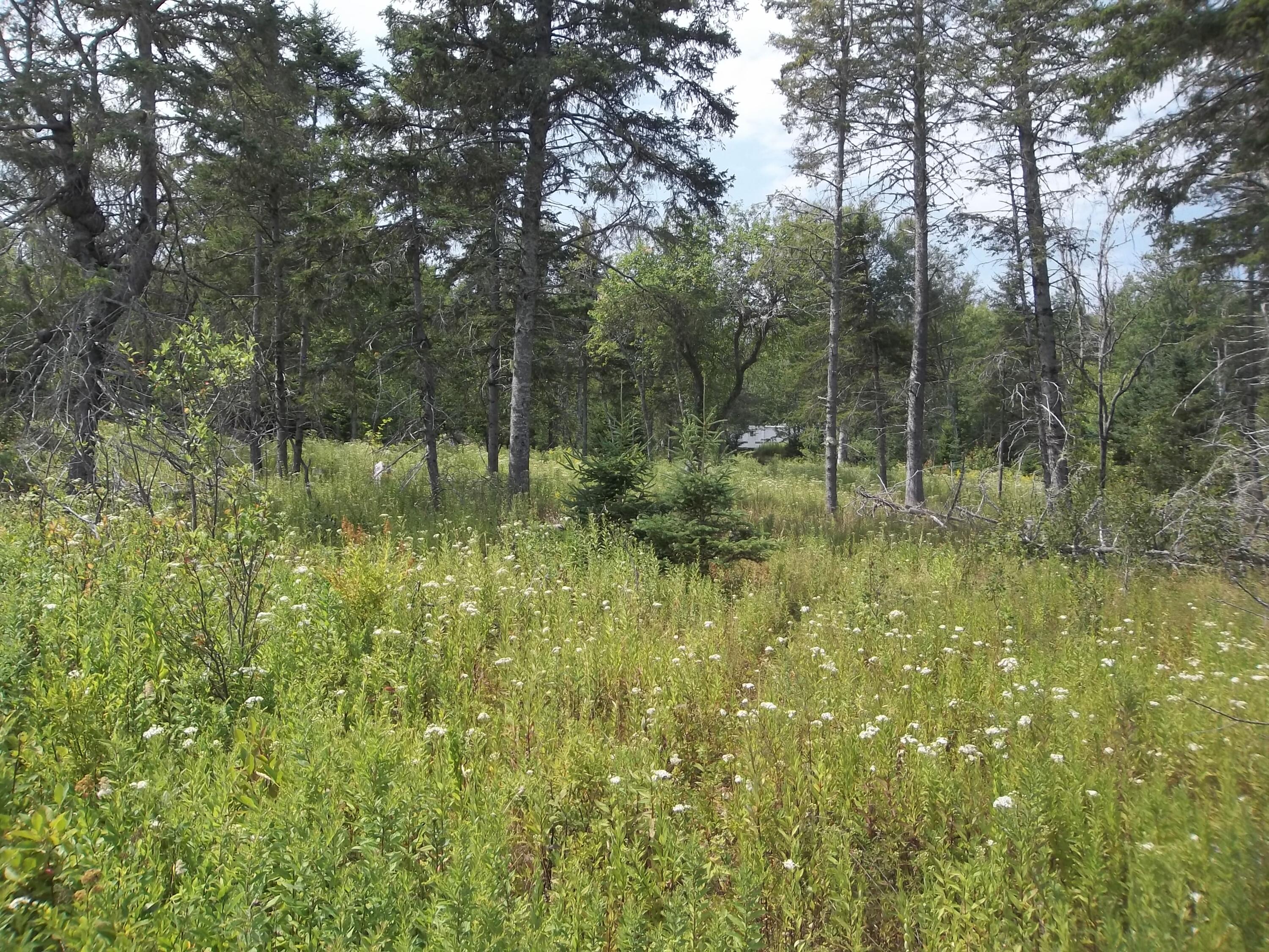 17 Indian Road Eastport ME 04631