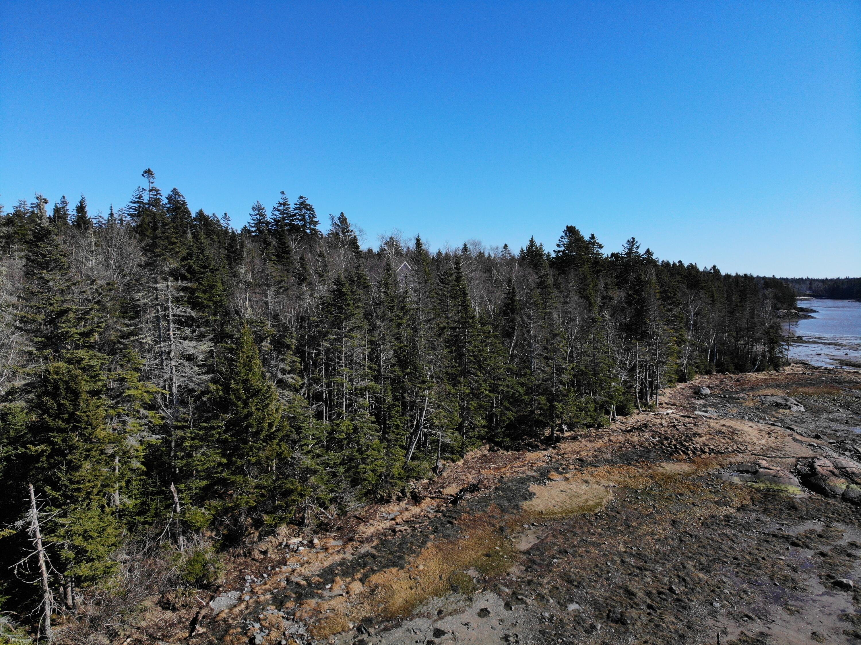 6 Collins Cove Road Machiasport ME 04655