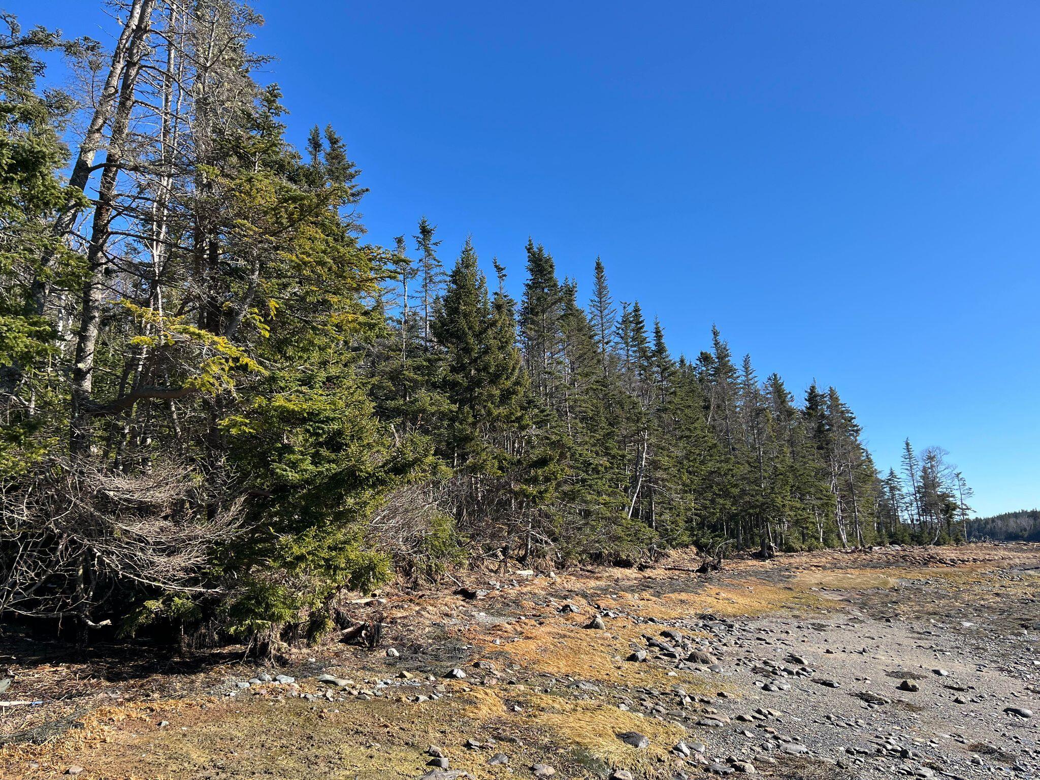 6 Collins Cove Road Machiasport ME 04655