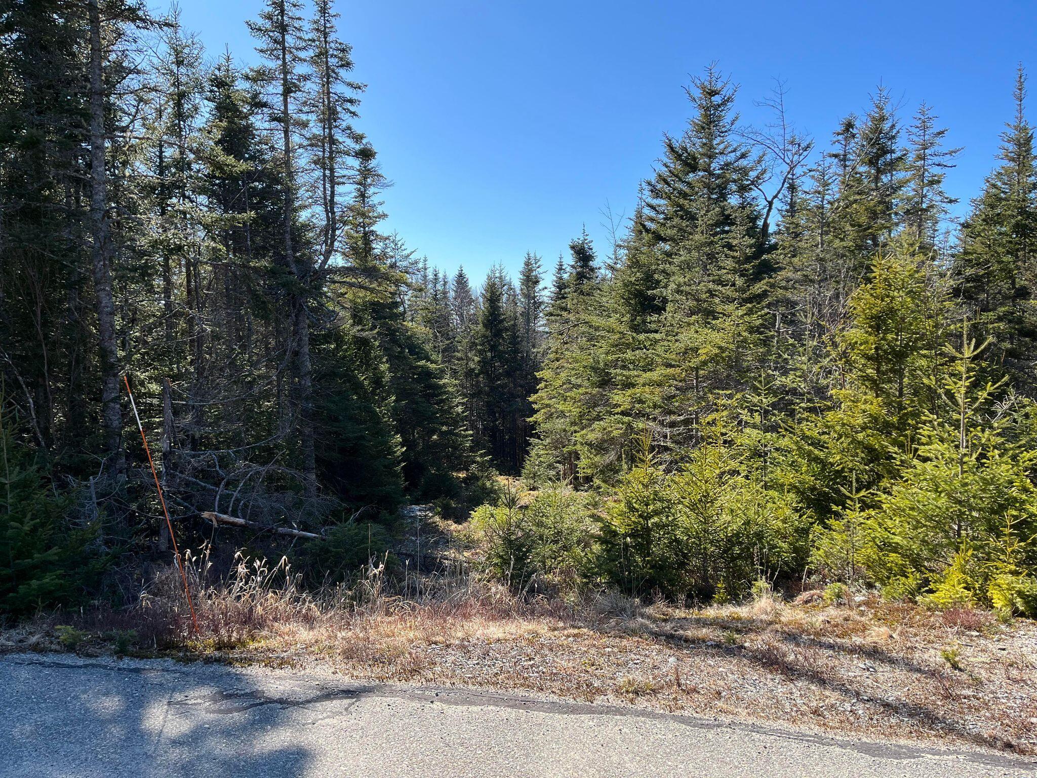 6 Collins Cove Road Machiasport ME 04655