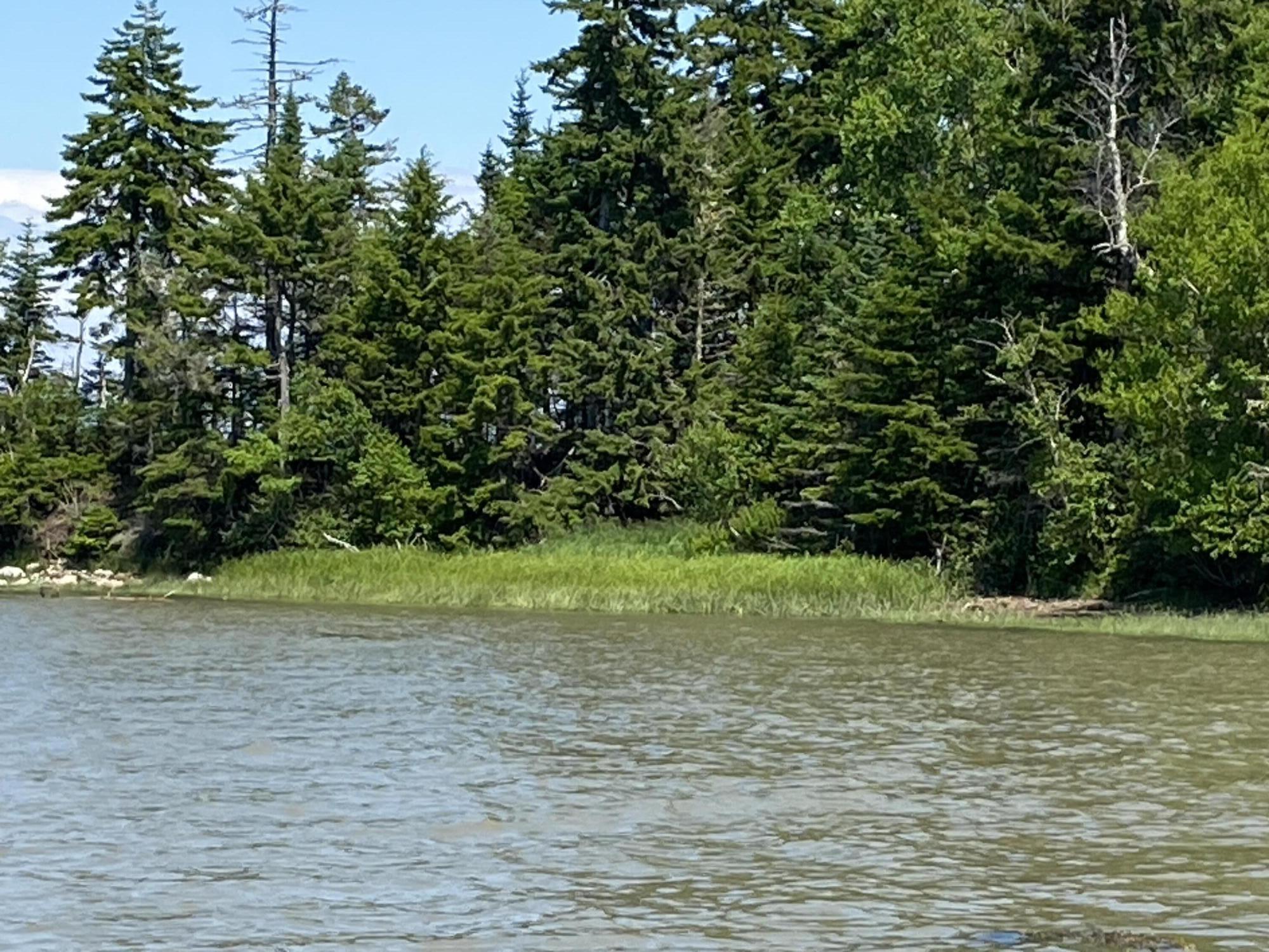 15 N Middle Ground View Jonesport ME 04649