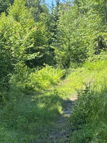 15 N Middle Ground View Jonesport ME 04649