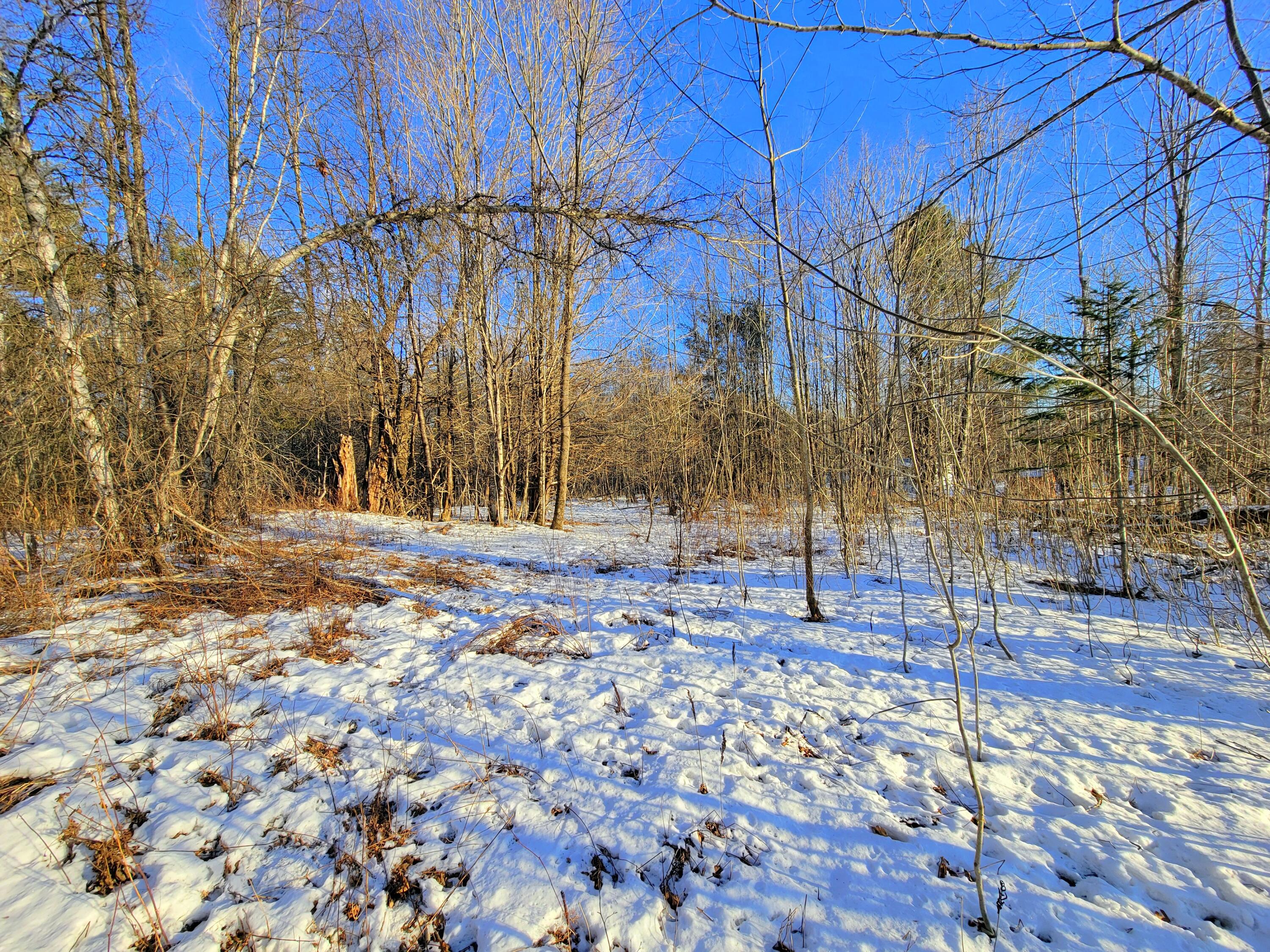 Lot 36 Center Hill Road Weld ME 04285