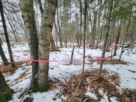 Lot 36 Center Hill Road Weld ME 04285