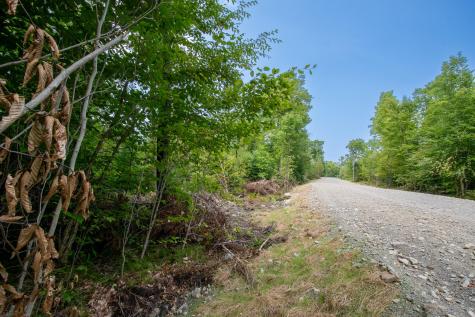 Lot2 Bear Brook Subdivision Sebec ME 04481
