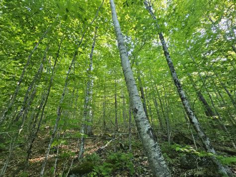 Po M23-l6 Great Moose Drive Hartland ME 04943