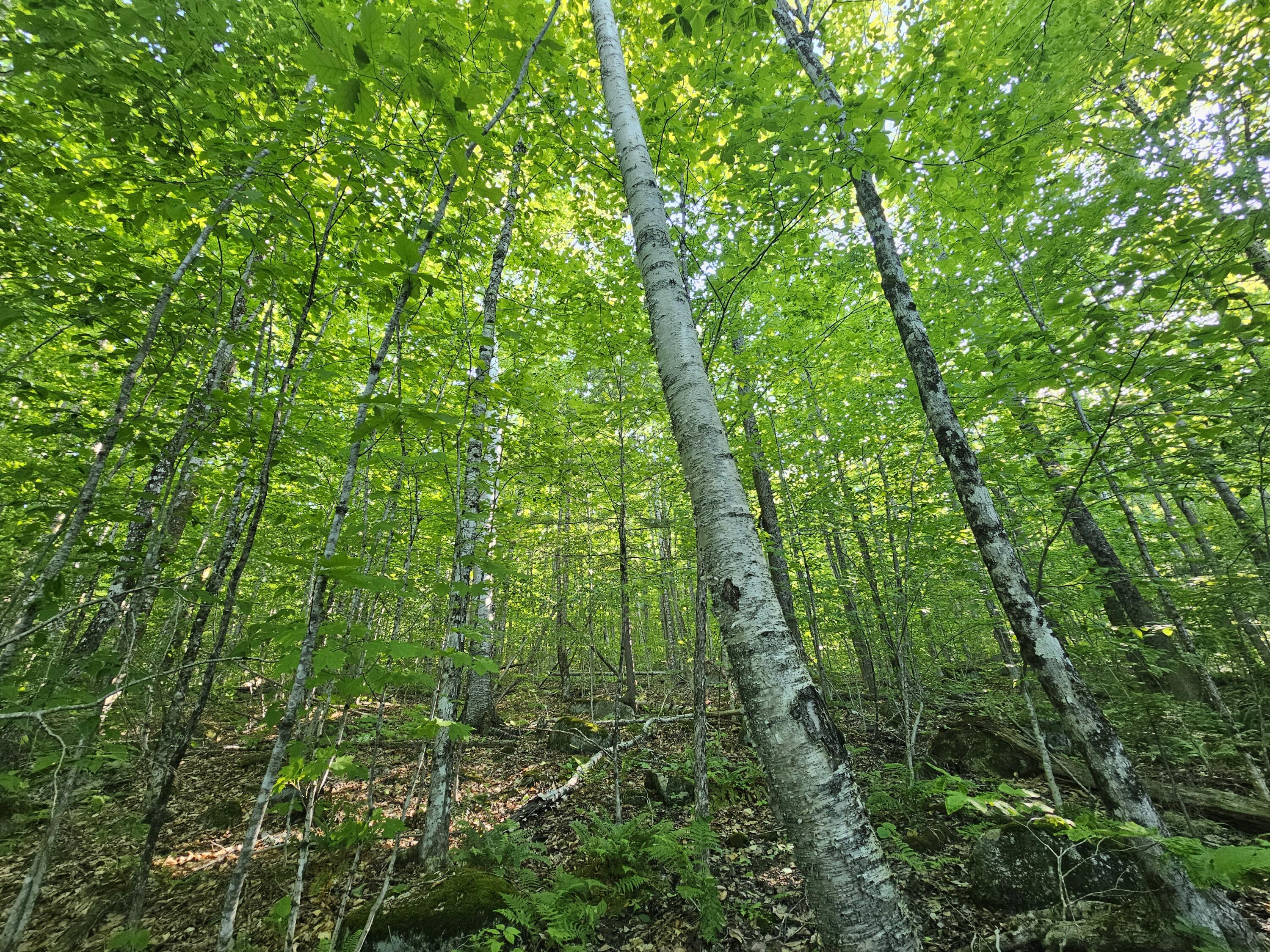 Po M23-l6 Great Moose Drive Hartland ME 04943