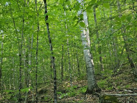 Po M23-l6 Great Moose Drive Hartland ME 04943