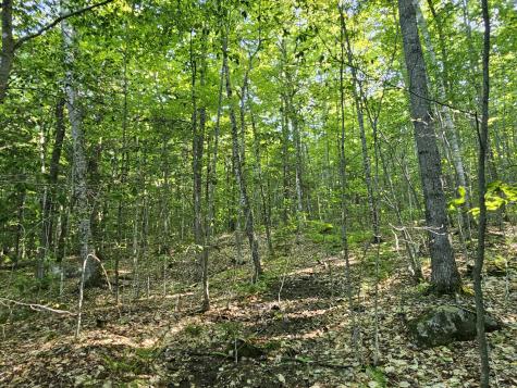 Po M23-l6 Great Moose Drive Hartland ME 04943