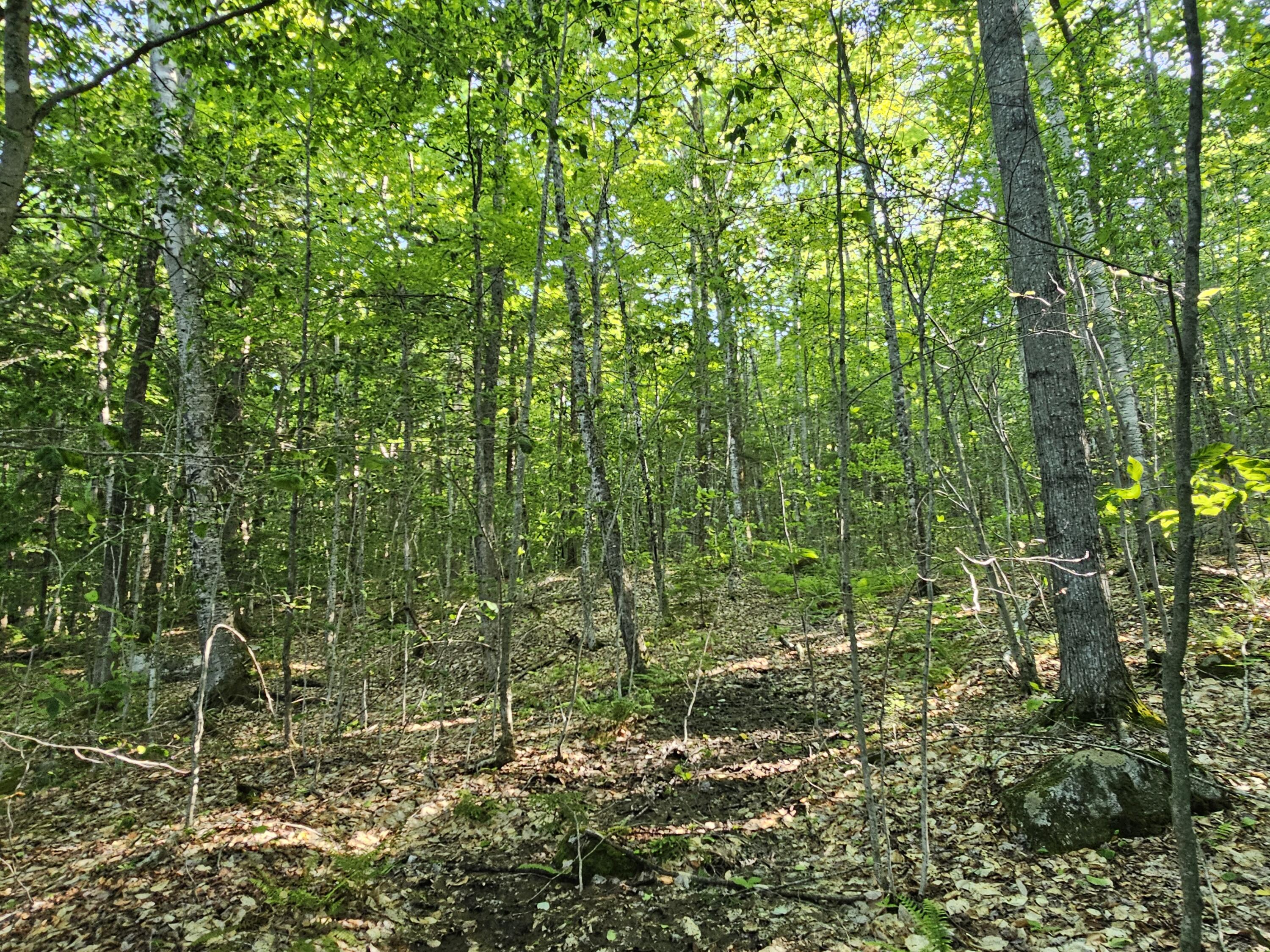 Po M23-l6 Great Moose Drive Hartland ME 04943