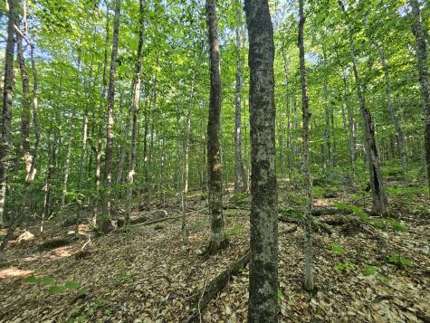 Po M23-l6 Great Moose Drive Hartland ME 04943