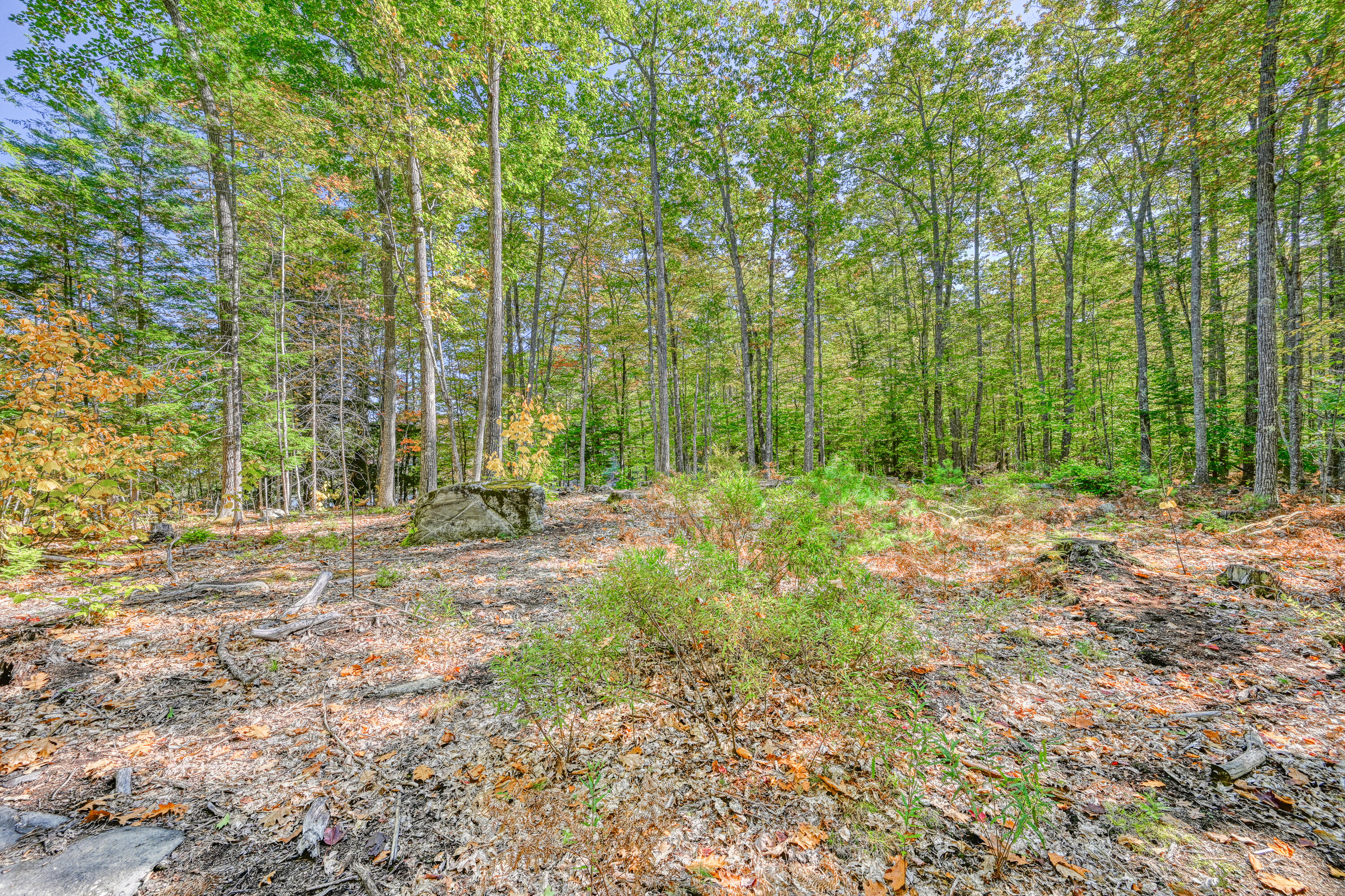 Tbd Blue Jay Way Fayette ME 04349
