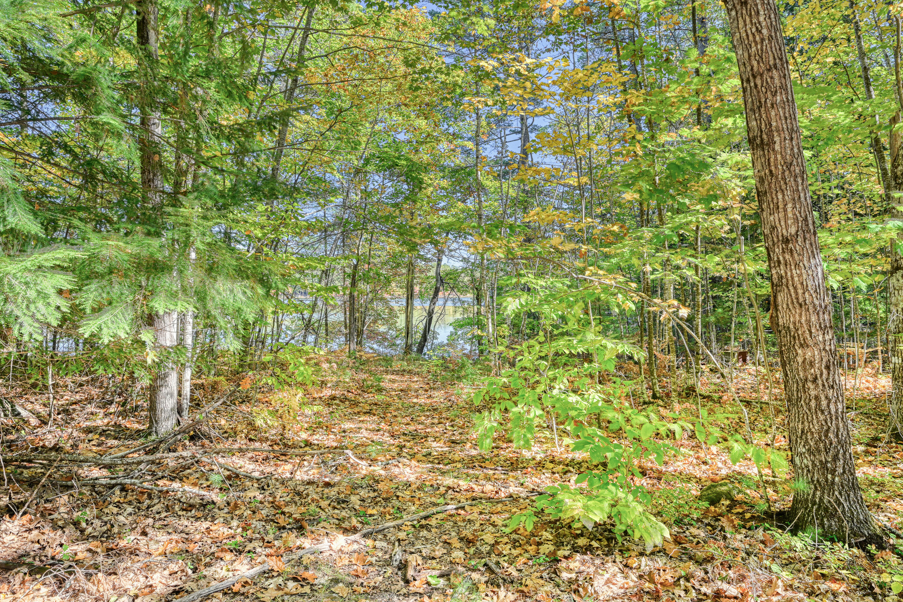 Tbd Blue Jay Way Fayette ME 04349