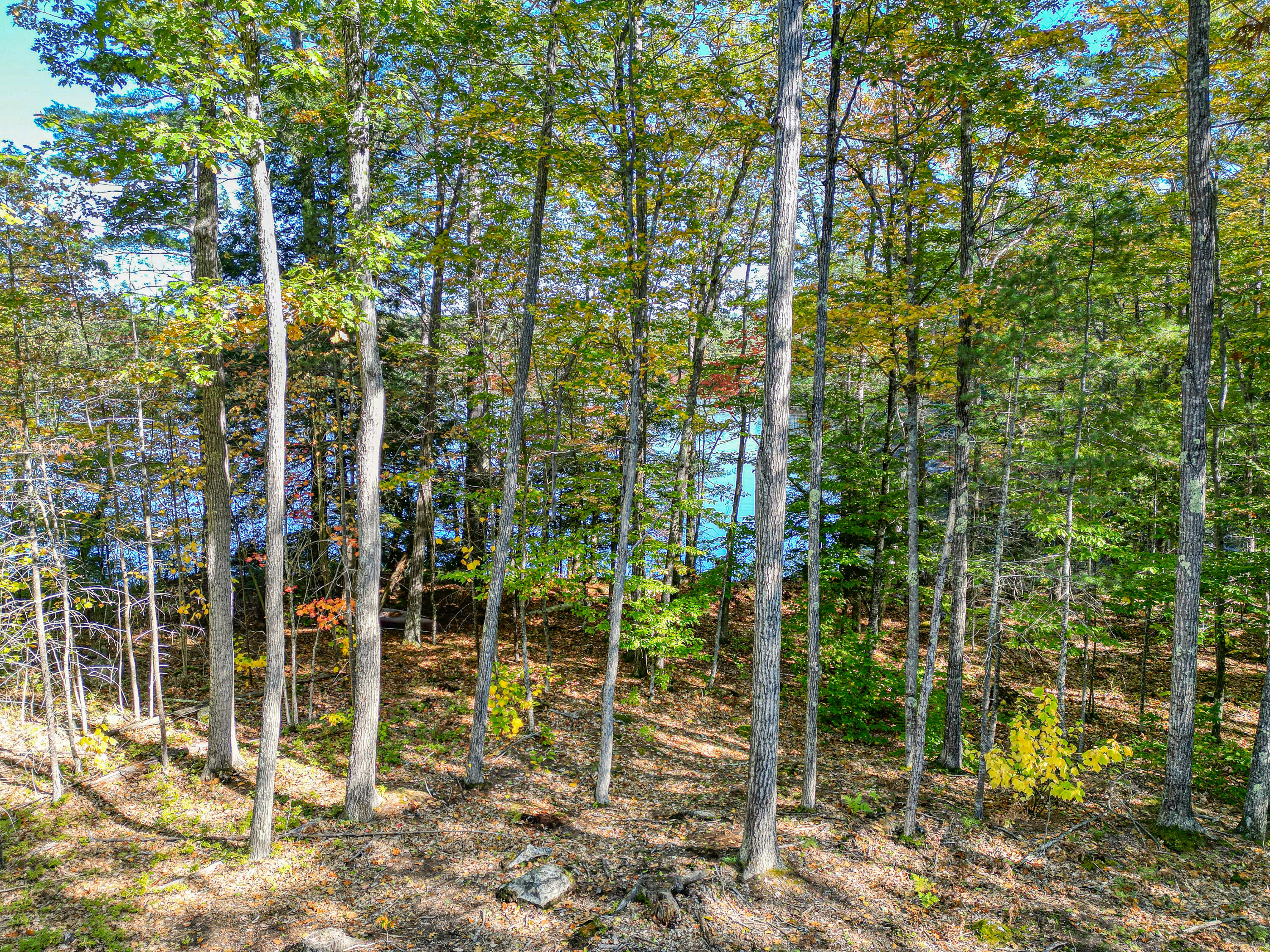 Tbd Blue Jay Way Fayette ME 04349