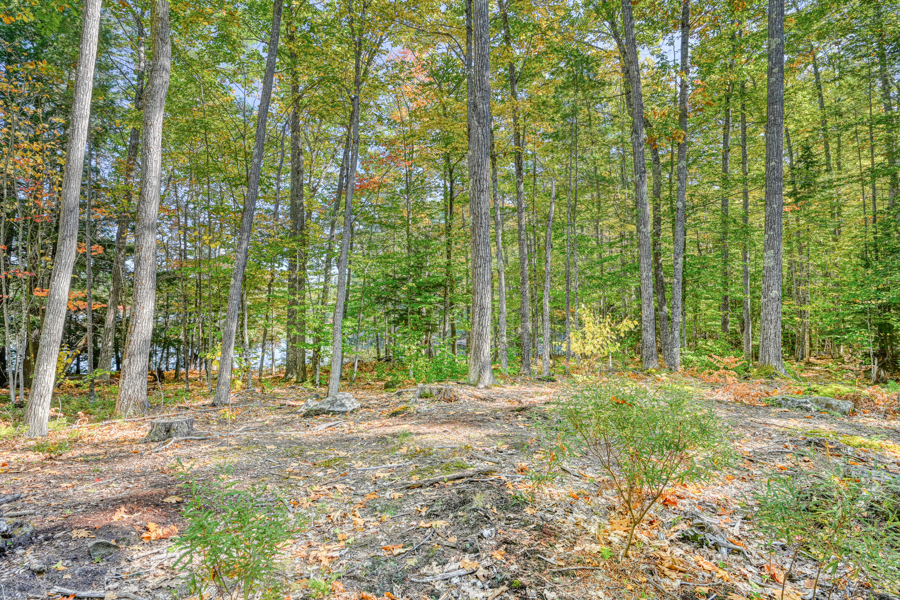 Tbd Blue Jay Way Fayette ME 04349