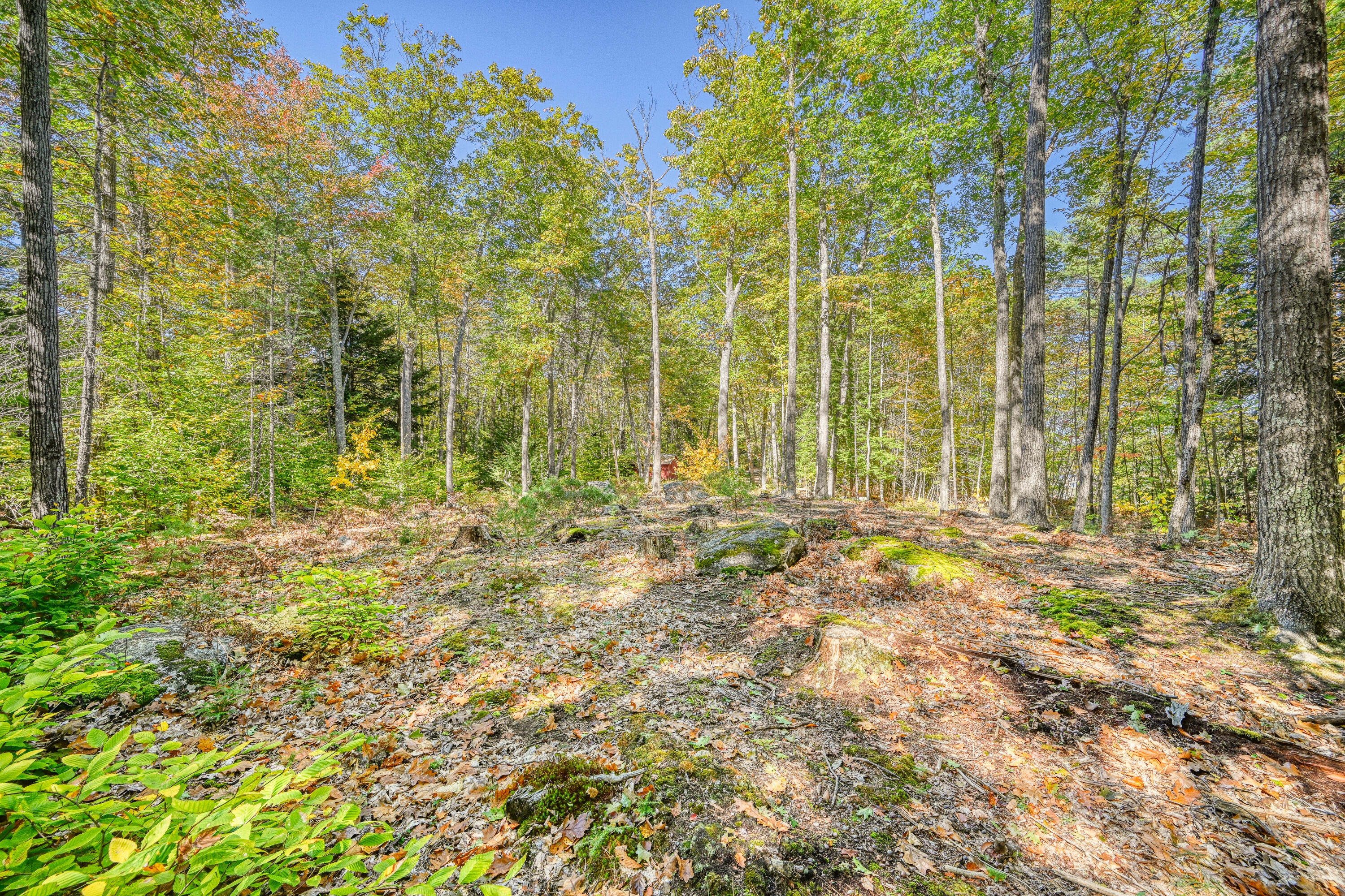 Tbd Blue Jay Way Fayette ME 04349