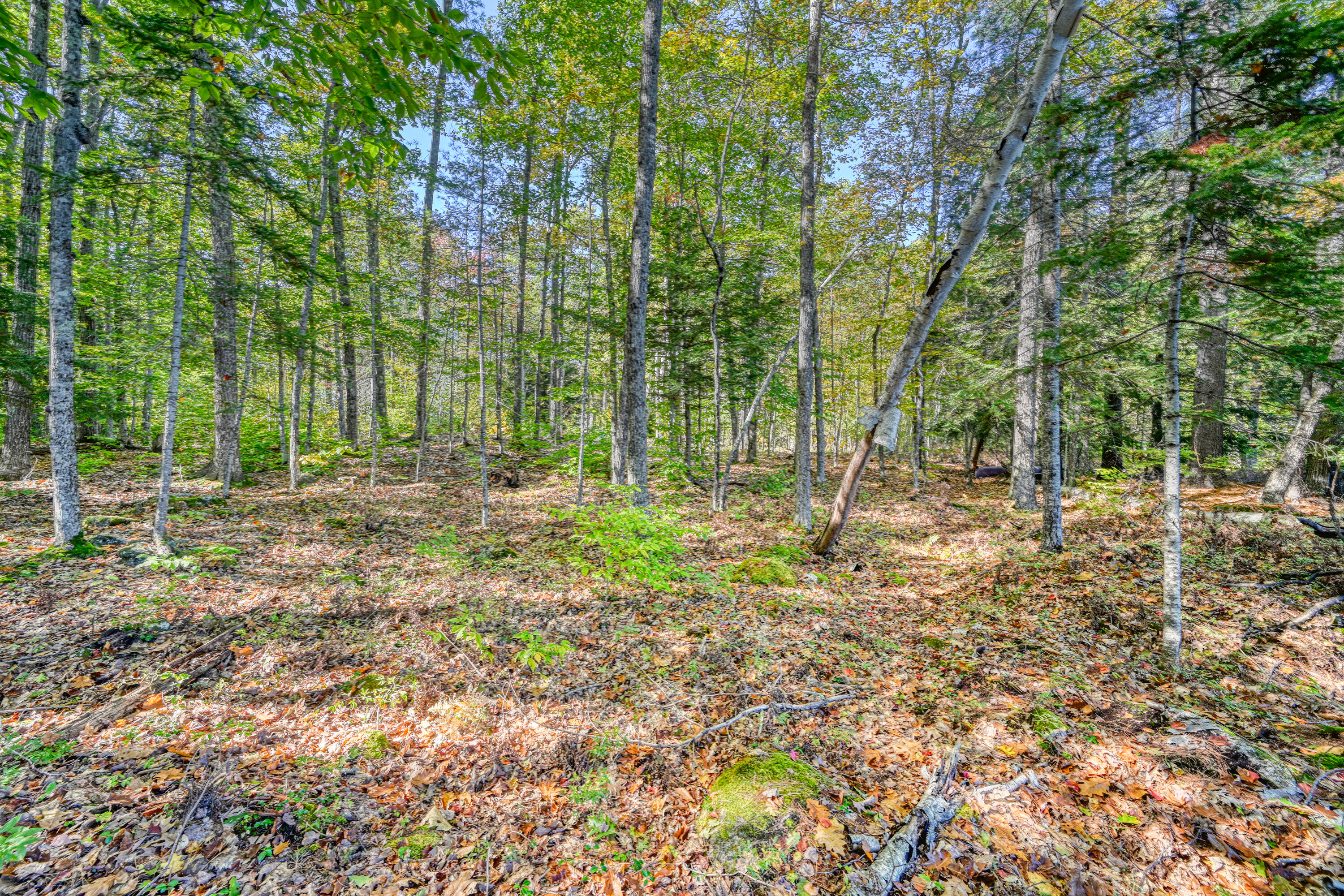 Tbd Blue Jay Way Fayette ME 04349