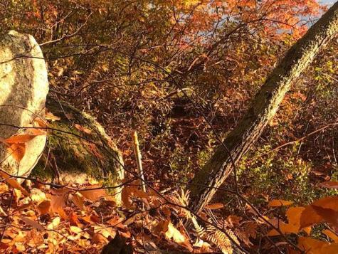 Tbd Blue Jay Way Fayette ME 04349